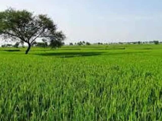 Sindewahi, Chandrapur City Commercial Land 2 Acre in Sindewahi Chandrapur Listing ID: #10049