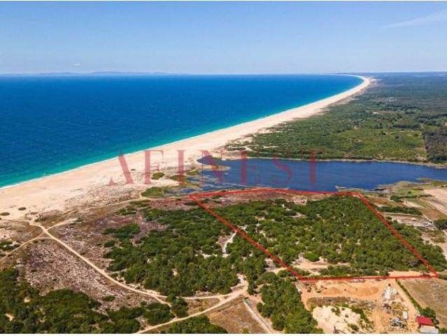 Sines Sines 104955423