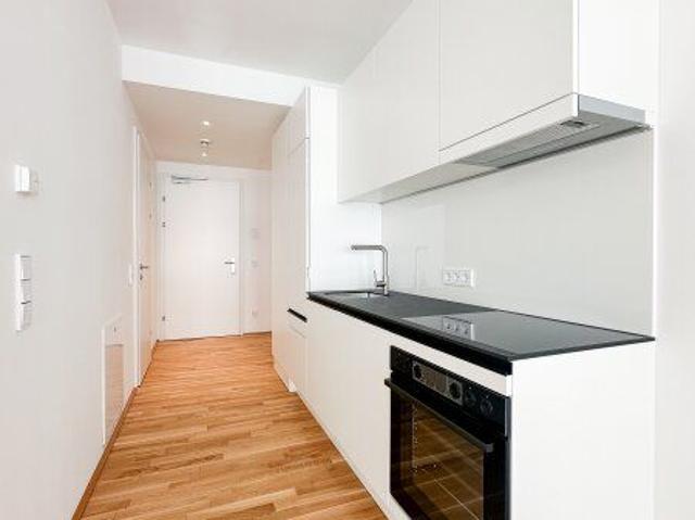 Singlewohnung mit Freifläche und Blick auf die Donauinsel