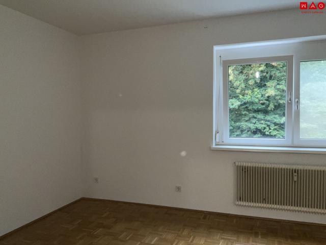 single apartment in der nähe des hummelhofwalds! ab sofort zu beziehen!