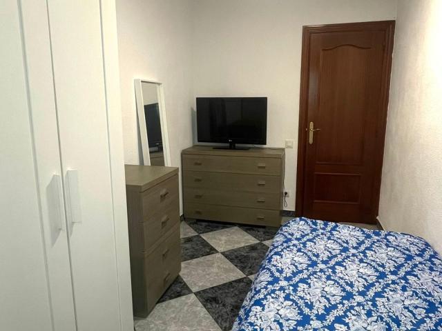 Single bedroom in 4 bedroom apartment