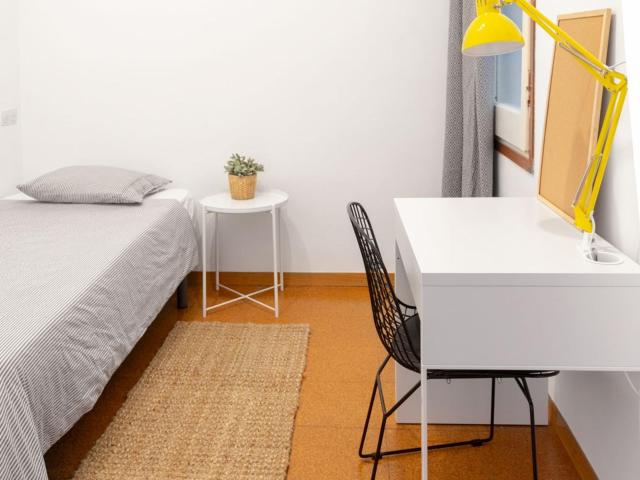 Single bedroom in 3 bedroom apartment