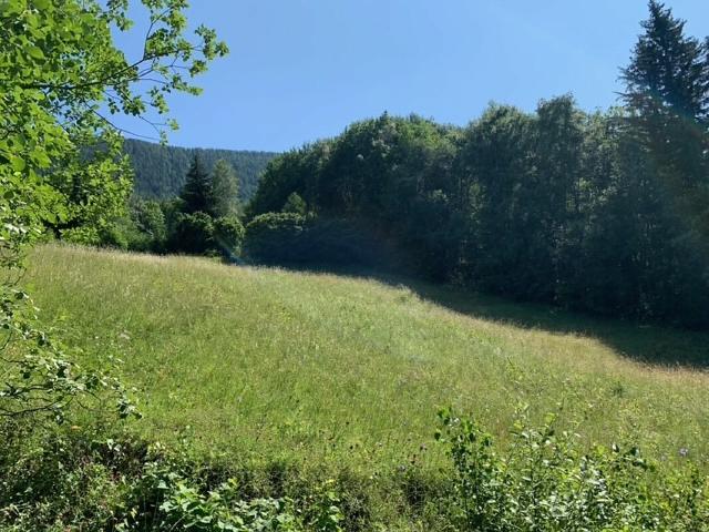 Single family house on sale in Saxon 3 877 m² | dreamo. Ch