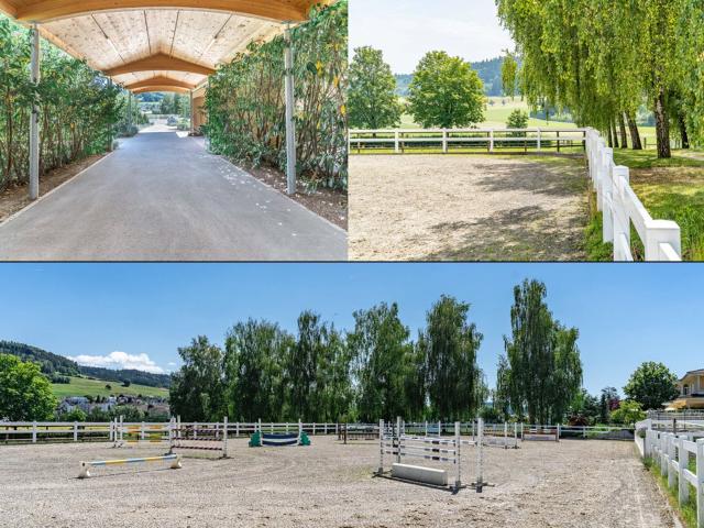 Single family house on sale in Sirnach Ref 116065 | dreamo. Ch