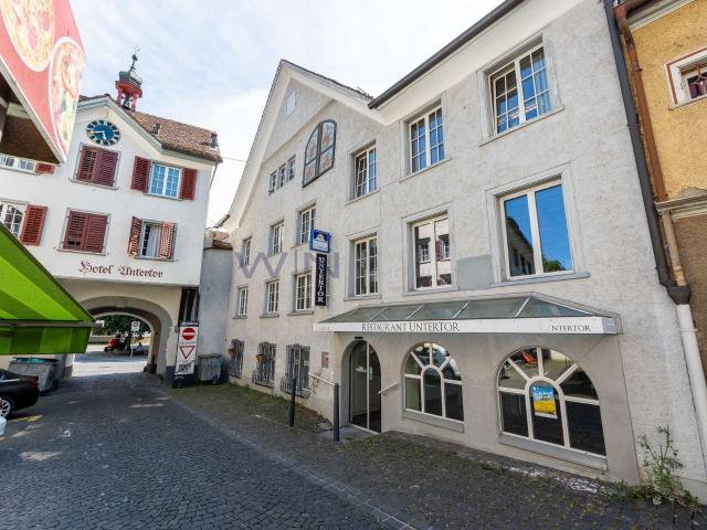 Single family house with 11.5 rooms on sale in Altstätten 590 m² | dreamo. Ch