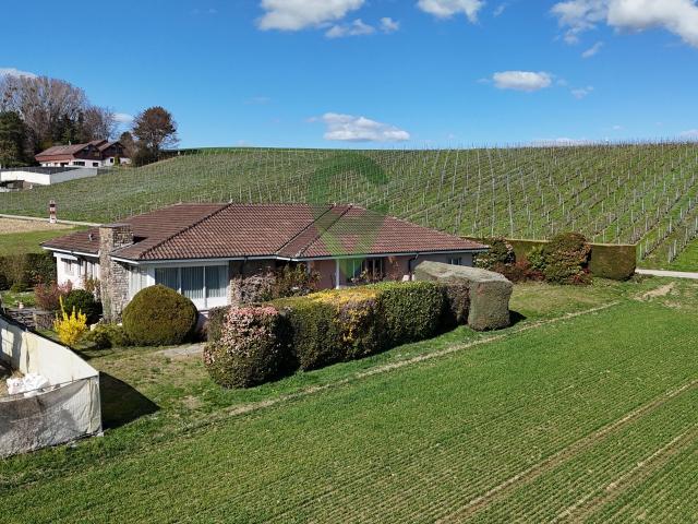 Single family house with 7.5 rooms on sale in Zone Ref STDC_0326_2_2d | dreamo. Ch
