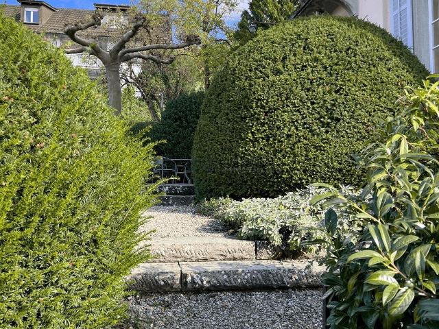 Single family house with 7.5 rooms for rent in Winterthur 298 m² | dreamo. Ch