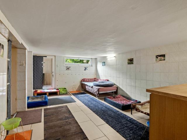 Single family house with 7 rooms on sale in Duggingen 286 m² | dreamo. Ch