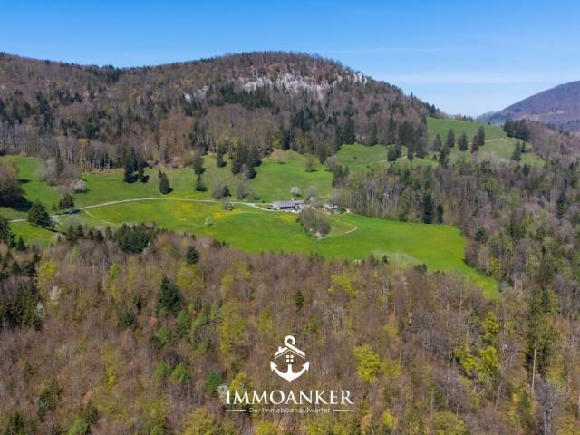 Single family house with 4.5 rooms on sale in Oberbuchsiten Ref 73 | dreamo. Ch