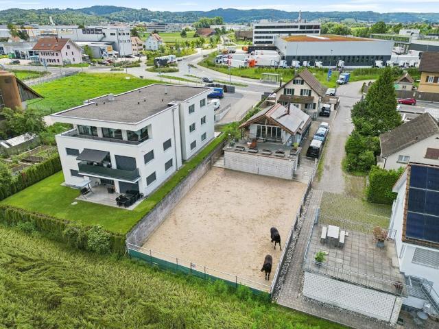 Single family house with 5.5 rooms on sale in Aarburg 233 m² | dreamo. Ch