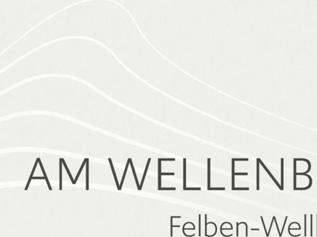 Single family house with 5.5 rooms on sale in Felben Wellhausen 343 m² | dreamo. Ch