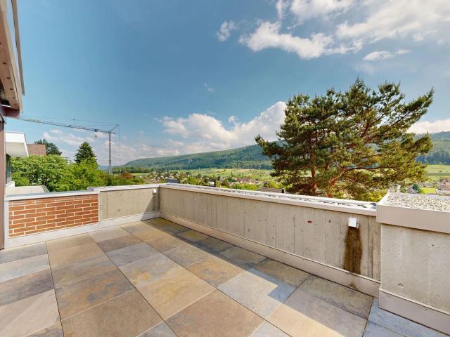 Single family house with 5.5 rooms on sale in Hofstetten SO 278 m² | dreamo. Ch