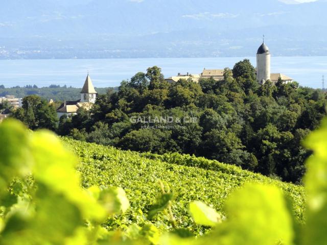Single family house with 6.5 rooms on sale in À Aubonne 265 m² | dreamo. Ch