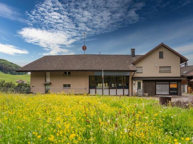 Single family house with 6 rooms on sale in Wald ZH 166 m² | dreamo. Ch