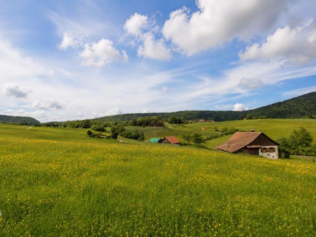 Single family house with 8 rooms on sale in Reconvilier 230 m² | dreamo. Ch