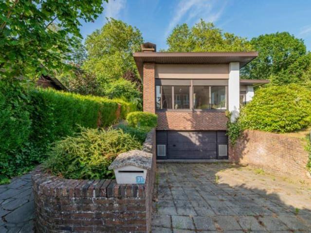 Single storey bungalow with garden next to forest