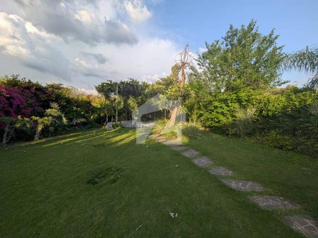 Single Storey House For Sale I 8, Islamabad