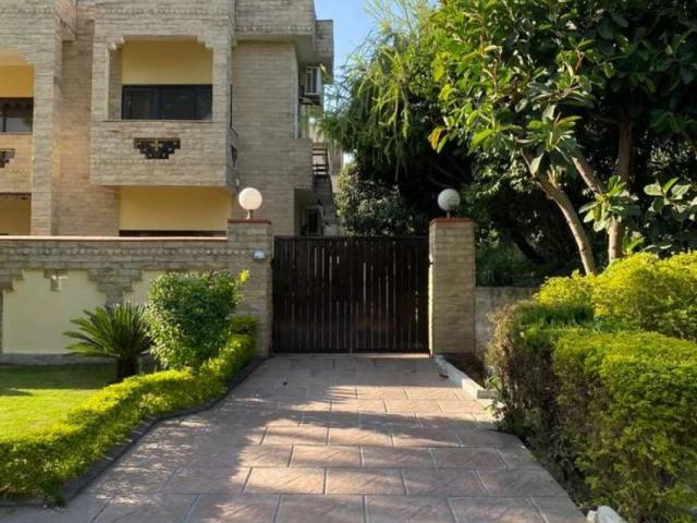 Single Storey Semi Detached House for Rent in F 11 Islamabad F 11 ID 26263