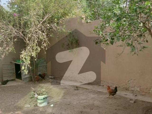 Single Storey 20 Marla House For Sale In Shah Rukn E Alam Colony Block F Multan Shah Rukn e Alam Colony Block F