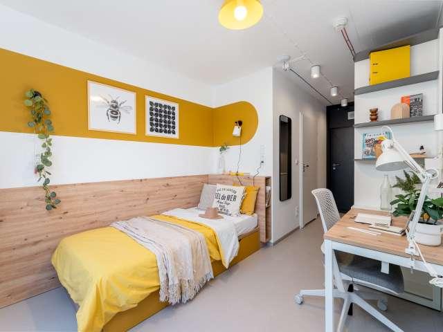 Single Room to rent