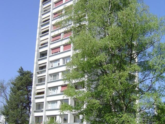 Single Wohnung zu vermieten