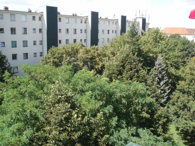 Single Wohnung am Weigandufer !