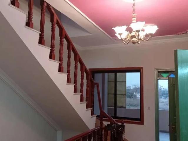 Single Unit Full House For Rent Family/Bachelors/Commercial in G 11 Islamabad G 11 ID 57592
