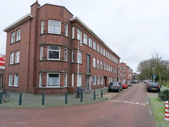 Sinjeur Semeynsweg 217, 2524EJ, Den Haag, Zuid Holland 2524EJ