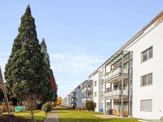 Sicht auf die Alpen und wenige Minuten zum Zürichsee