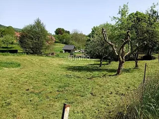 Masevaux Niederbruck 68290 Achat / Vente terrain
