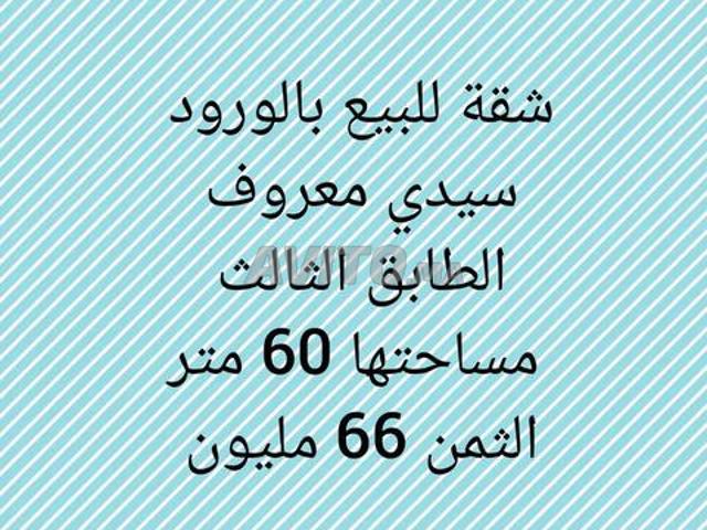 Sidi Maarouf Les Roses