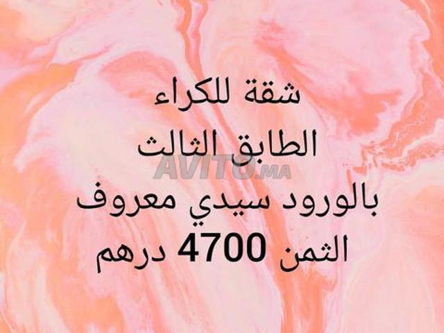 Sidi Maarouf Les Roses
