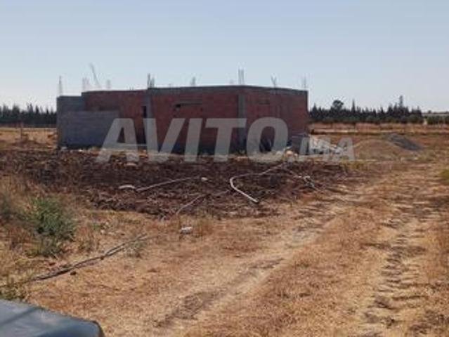 Sidi Aidi Fella