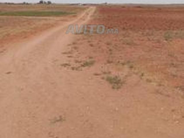 Sidi Bennour Hassana