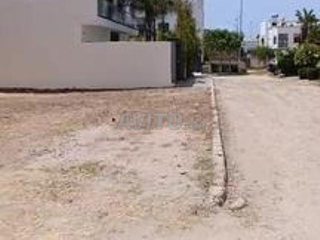 Sidi Bouzid Rue Zerktouni