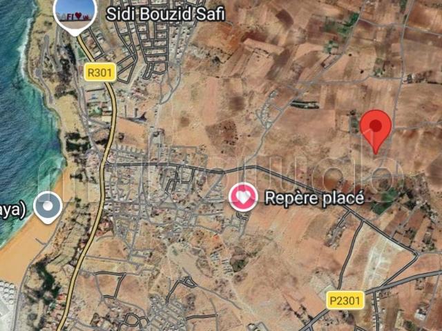 Sidi Bouzid Safi