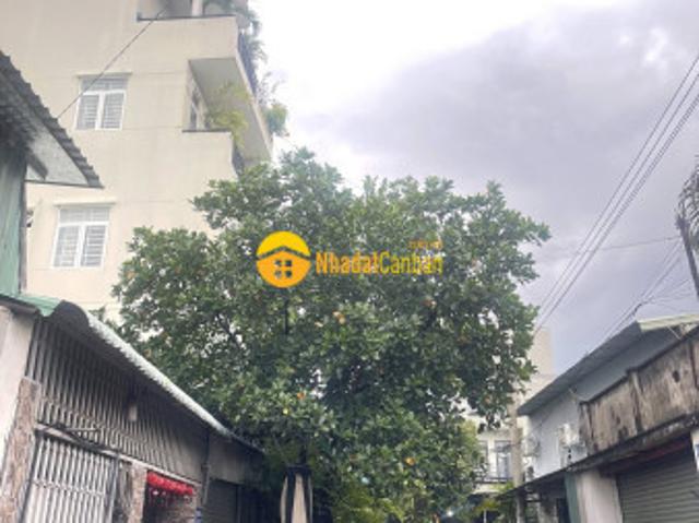 Siêu hiếm, đất vàng, trung tâm dĩ an, quy hoạch 6 tầng, hẻm xe tải tránh, 404m, chỉ 10,3 tỷ