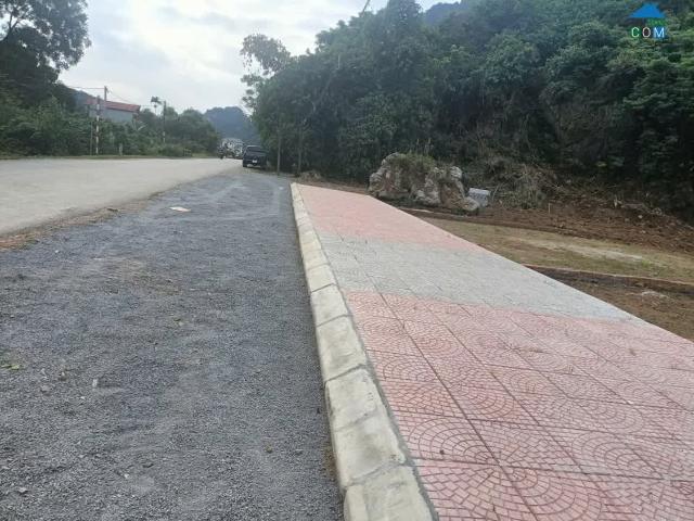 Siêu Phẩm 134m² Mặt Quốc Lộ 21 – Trung Tâm Ba Hàng Đồi – Giá F0 Chỉ 1 Tỷ 5!