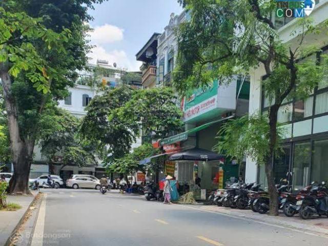 Siêu phẩm mặt phố Trần Quang Diệu 6 tầng thang máy dòng tiền khủng chỉ 23 tỷ!