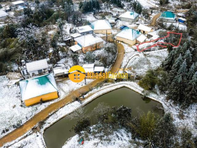 Siêu phẩm ngắm tuyết 499m2 y tý sapa2 đầu tư sinh lời ngay
