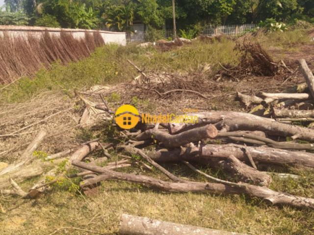 Siêu phẩm đất lương sơn, hòa bình 1950m2, giá 15 tỷ