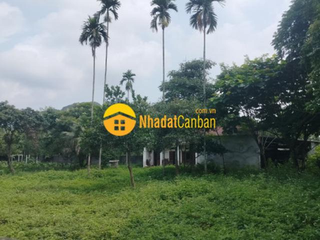 Siêu rẻ đất tại lương sơn, hòa bình 3900m2, giá 5 tỷ