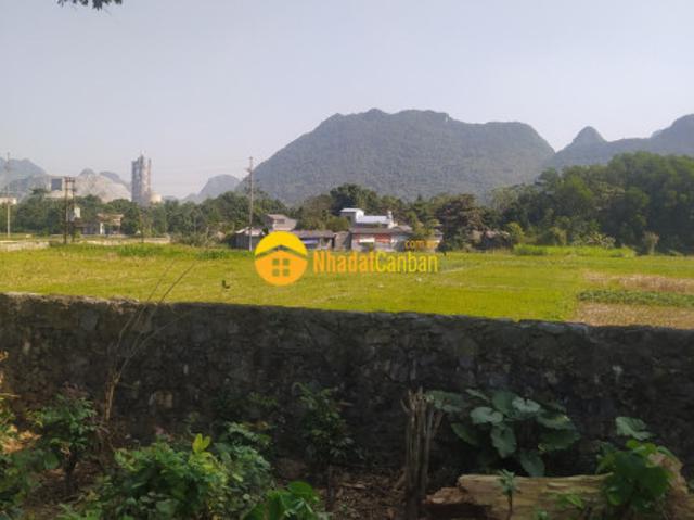 Siêu rẻ đất lương sơn, hòa bình 648m2, giá 1,2 tỷ