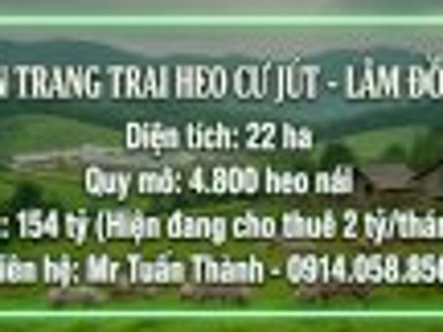 Siêu Trang Trại Heo 22Ha Thu Nhập Cho Thuê 24 Tỷ/Năm