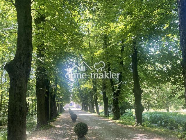 Sie lieben das Ausgefallene?