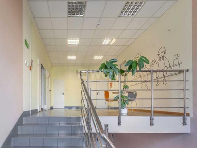 Siedlce Grodzki, Siedlce, Błonie