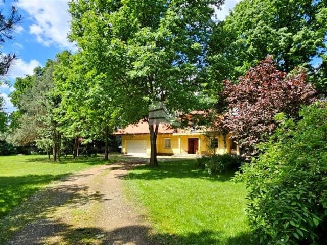 Siedlecka 182 m², Oława