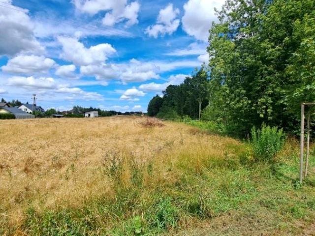 Siedlecka 1 000 m², Stok Lacki