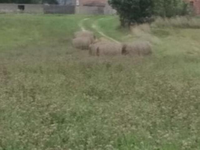 siedlisko gospodarstwo