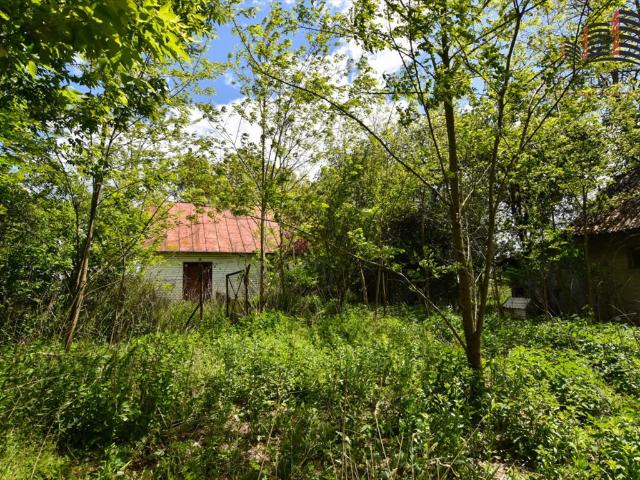 Zapraszam do siedliska w Strzelcach z domem 50 m² i działką 1,6 ha